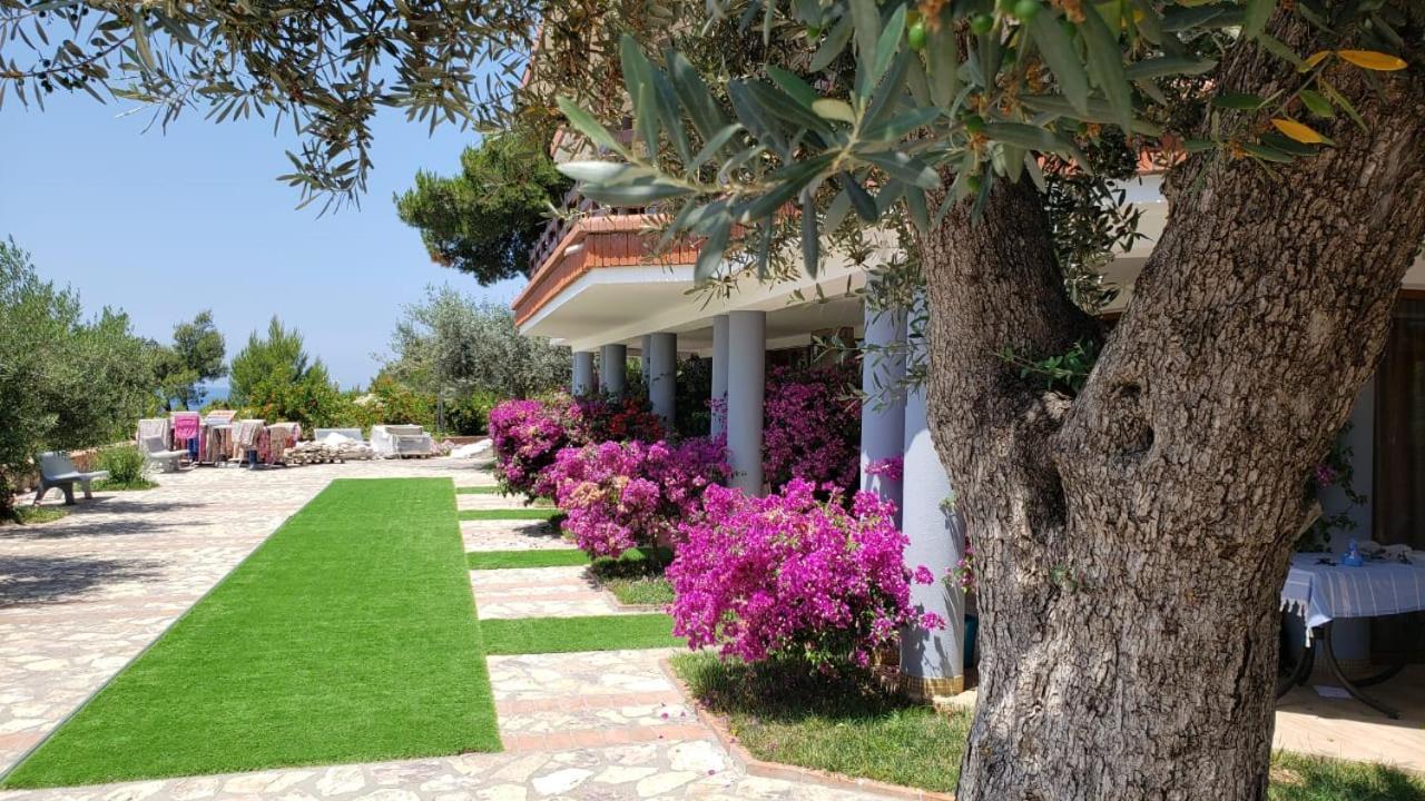 Brifs Shëngjin