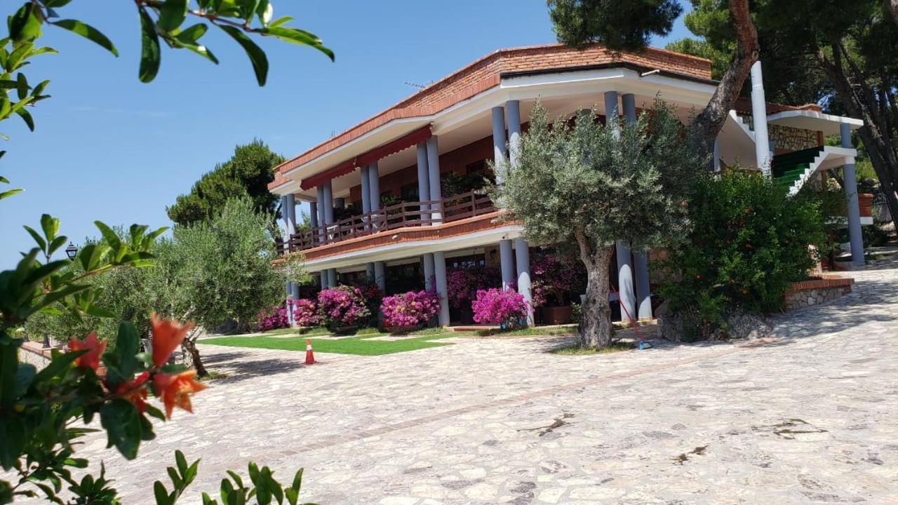 Brifs Apartament *