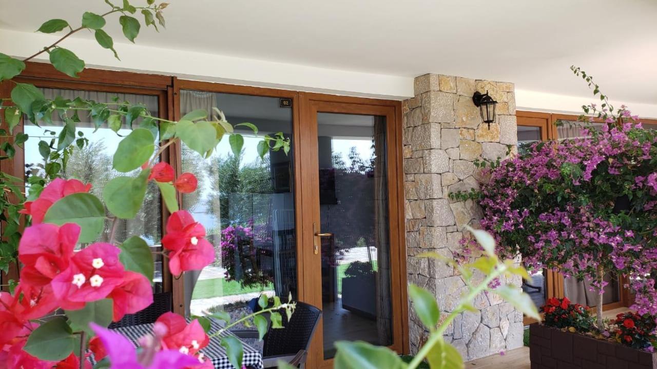 Brifs Apartament