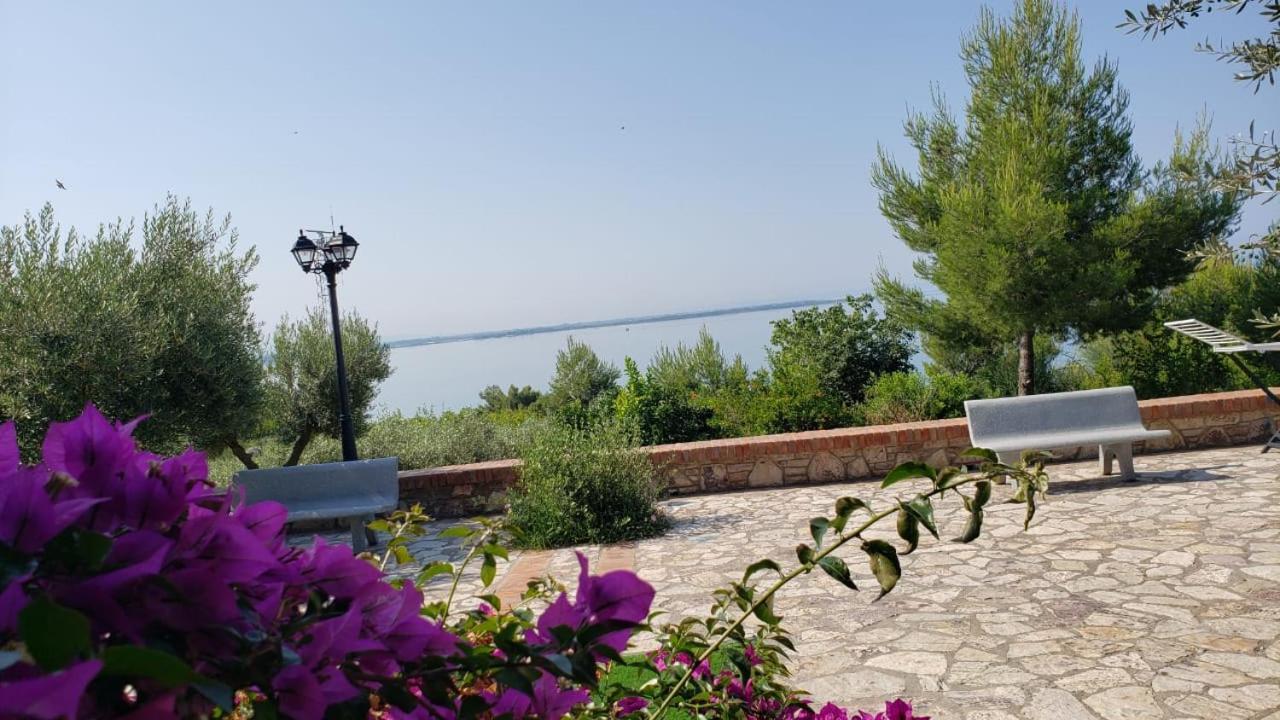 Brifs Apartament Shëngjin