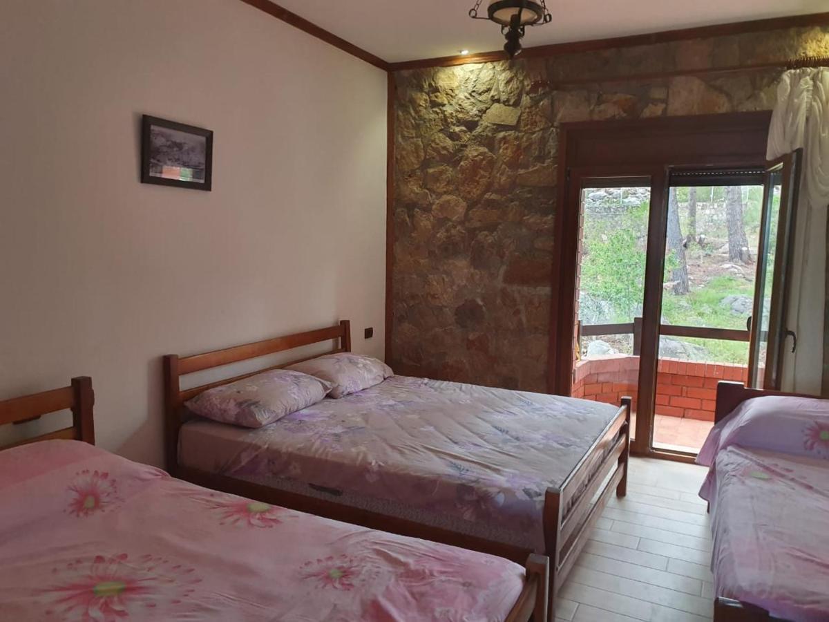 Brifs Apartament *