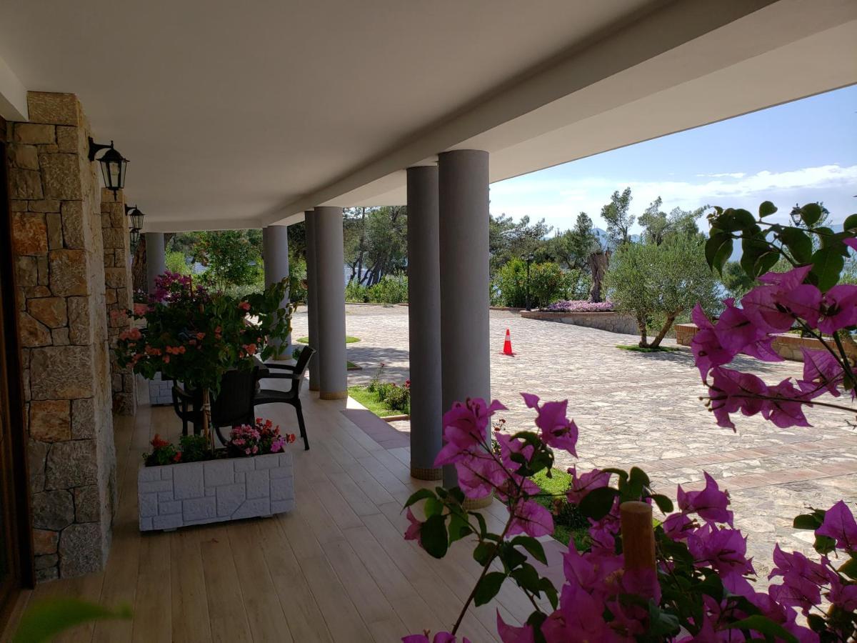Brifs Apartament
