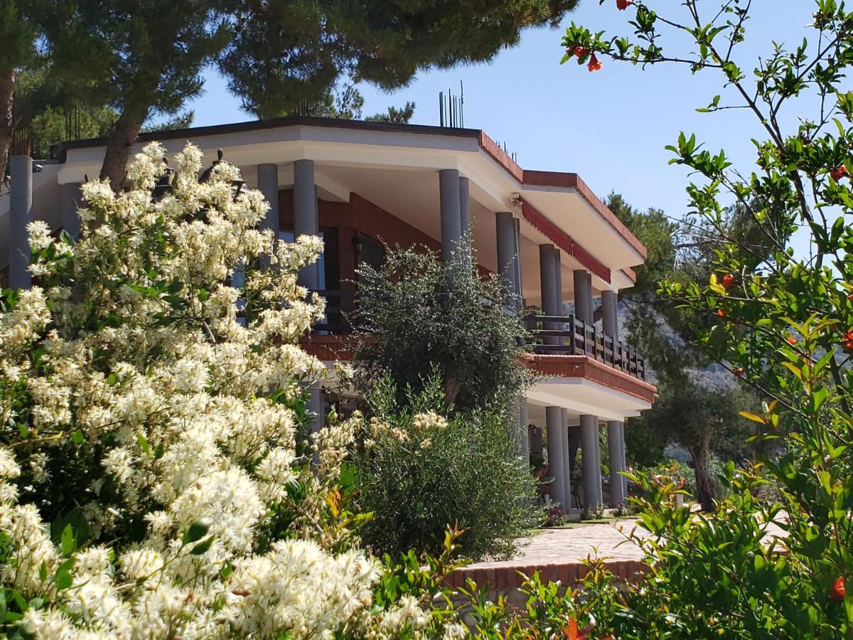 Apartament Brifs